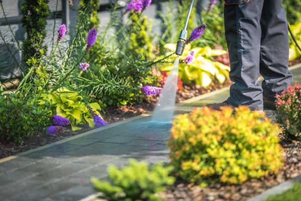 Cost of Sidewalk Pressure Washing in Lexington