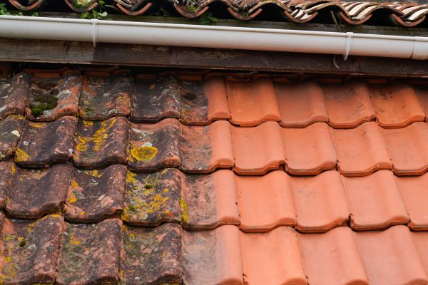 Cost of Industrial Roof Cleaning in Lexington